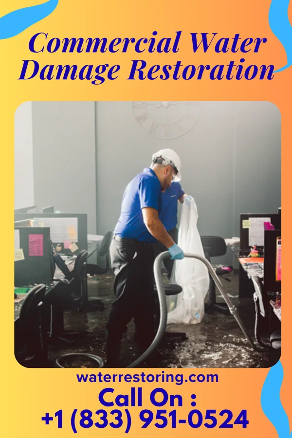 Commercial Water Damage Restoration in Latexo, TX