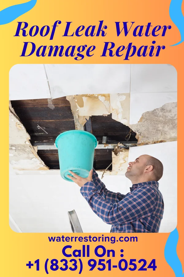 Roof Leak Water Damage Repair in Latexo, TX